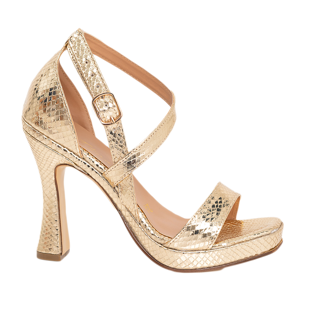 Boston Cloe Dorado